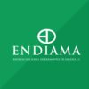 endiama Acrónimos das Direcções 2023